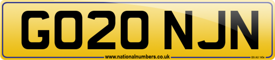 GO20 NJN