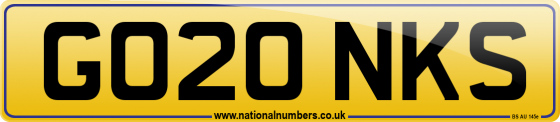 GO20 NKS
