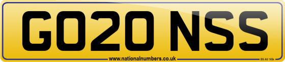 GO20 NSS
