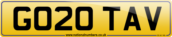 GO20 TAV