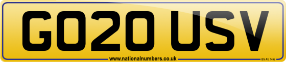 GO20 USV