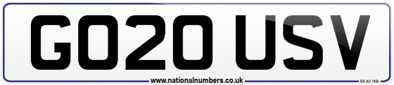 GO20 USV