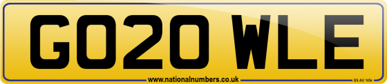 GO20 WLE