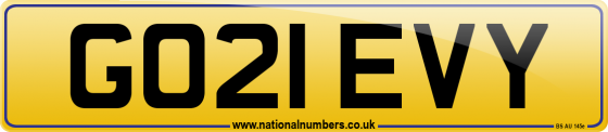 GO21 EVY