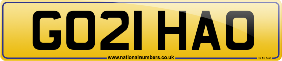 GO21 HAO