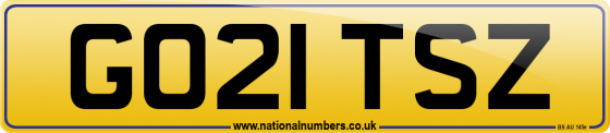 GO21 TSZ