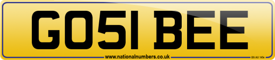 GO51 BEE