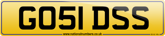 GO51 DSS