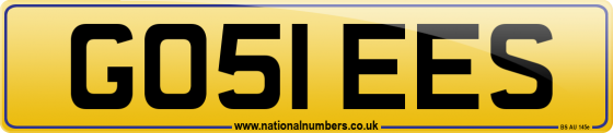 GO51 EES