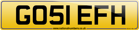 GO51 EFH