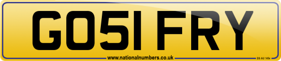 GO51 FRY