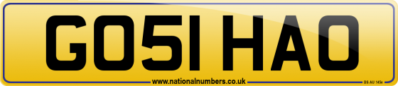 GO51 HAO