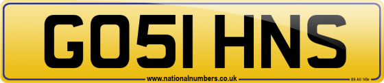 GO51 HNS
