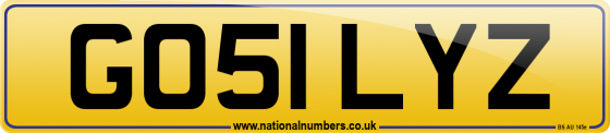 GO51 LYZ