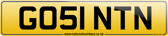 GO51 NTN