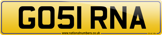 GO51 RNA