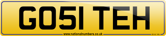 GO51 TEH