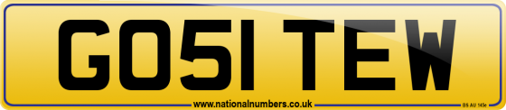 GO51 TEW