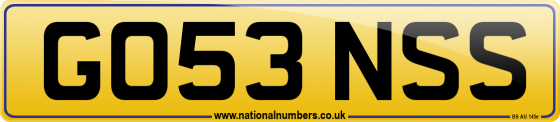 GO53 NSS