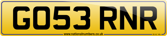GO53 RNR