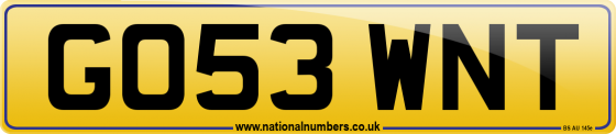 GO53 WNT