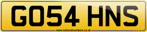 GO54 HNS
