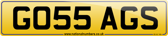 GO55 AGS
