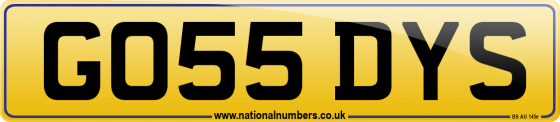 GO55 DYS