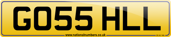 GO55 HLL