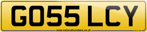 GO55 LCY