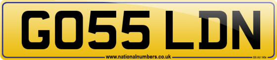 GO55 LDN