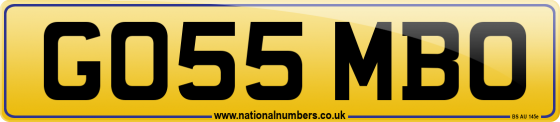GO55 MBO