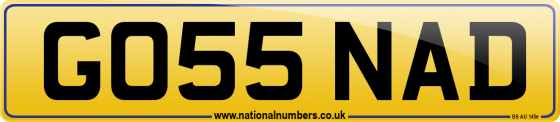 GO55 NAD