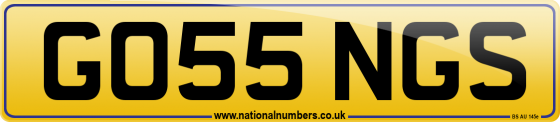 GO55 NGS