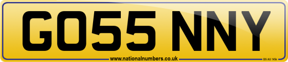 GO55 NNY