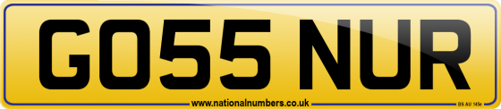 GO55 NUR