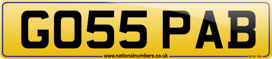GO55 PAB