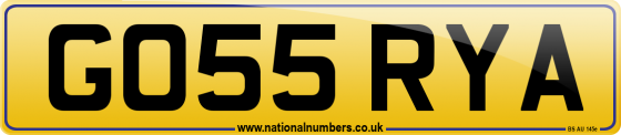 GO55 RYA
