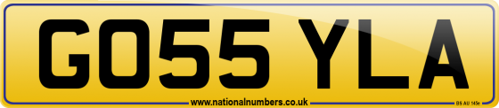 GO55 YLA