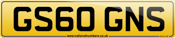 GS60 GNS