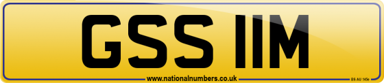GSS 11M
