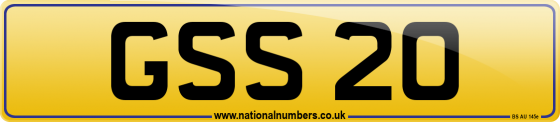 GSS 20