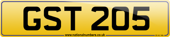 GST 205