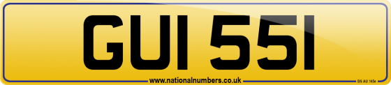 GUI 551