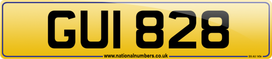 GUI 828