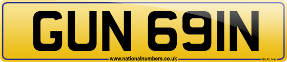 GUN 691N