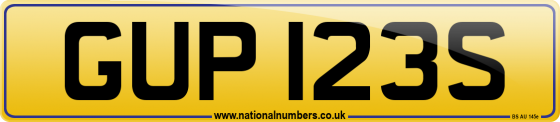 GUP 123S