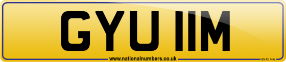 GYU 11M