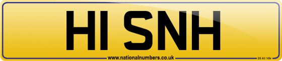 H1 SNH