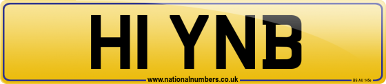 H1 YNB